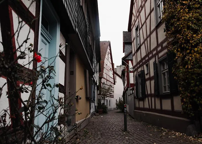 Apartament Stilvoll In Frankfurt Hoechst - Feeling At *