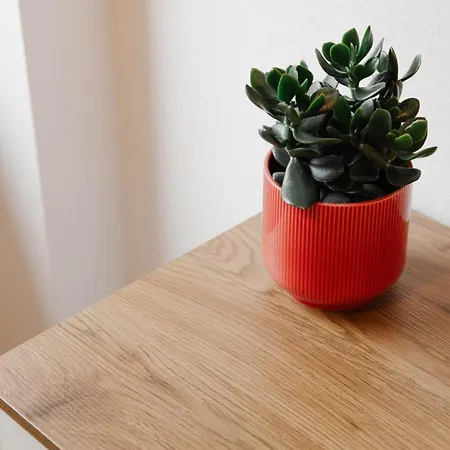 Apartment Stilvoll In Frankfurt Höchst - Feeling At