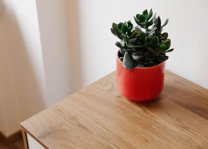 Apartment Stilvoll In Frankfurt Hoechst - Feeling At