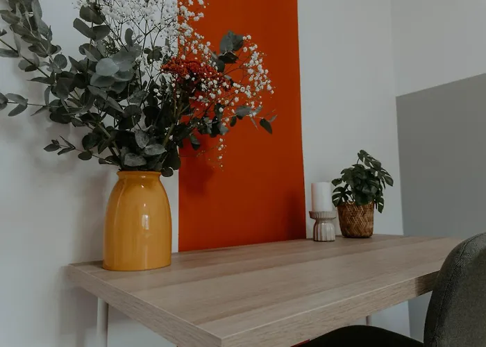 Apartment Stilvoll In Frankfurt Hoechst - Feeling At