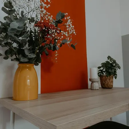 Apartamento Stilvoll In Frankfurt Hoechst - Feeling At